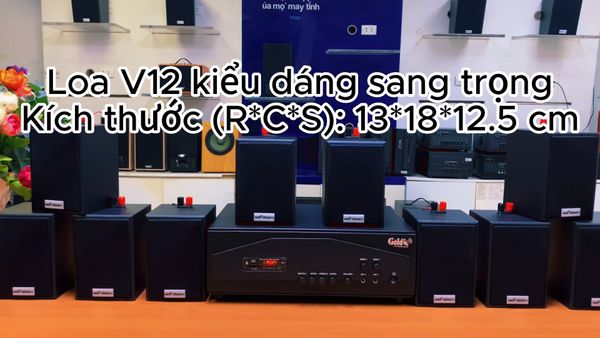 Gold4cafe 10.0 bản màu đen (01 amply + 10 loa), Amply 1200w - 2 vùng âm lượng, loa được thiết kế riêng cho quán, bật lớn không tạp âm, bảo hành dài hạn 5 năm.