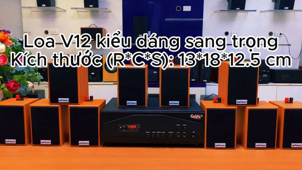 Gold4cafe 10.0 màu vân gỗ đỏ (10 loa + 1 amply), Amply 1200w - 2 vùng âm lượng, loa được thiết kế riêng cho quán, bật lớn không tạp âm, bảo hành dài hạn 5 năm