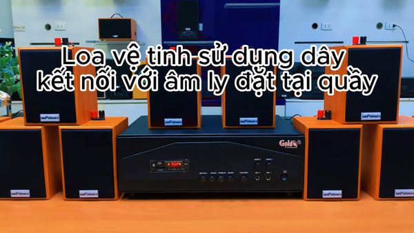 Gold4cafe 10.0 màu vân gỗ đỏ (10 loa + 1 amply), Amply 1200w - 2 vùng âm lượng, loa được thiết kế riêng cho quán, bật lớn không tạp âm, bảo hành dài hạn 5 năm