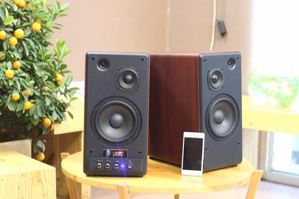 Loa HIFI GS31 2.0 Pro 3