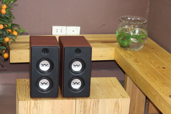 Loa vệ tinh HiFi W60 Hippie style (1 loa)