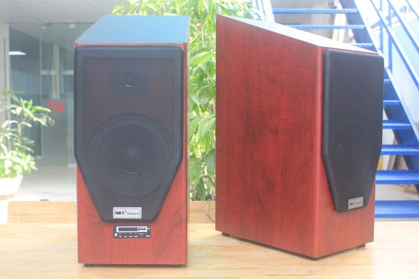 Loa HIFI W166