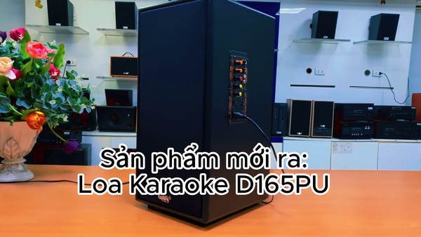 Loa KARAOKE D165PU (tặng kèm 1 micro)