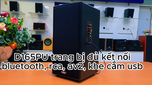 Loa KARAOKE D165PU (tặng kèm 1 micro)