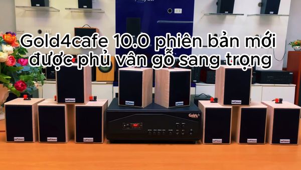 Gold4cafe 10.0 màu vân gỗ(amply + 10 loa), Amply 1200w - 2 vùng âm lượng, loa được thiết kế riêng cho quán, bật lớn không tạp âm, bảo hành dài hạn 5 năm.