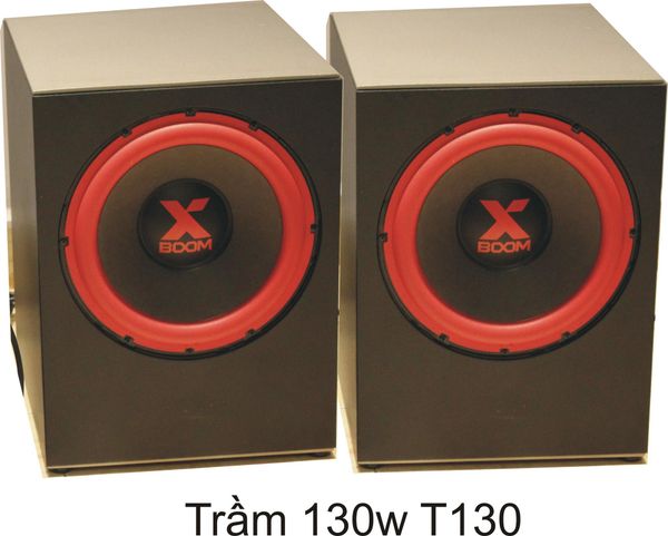 Loa cafe, Loa nhà hàng: Trầm hơi 130W T130