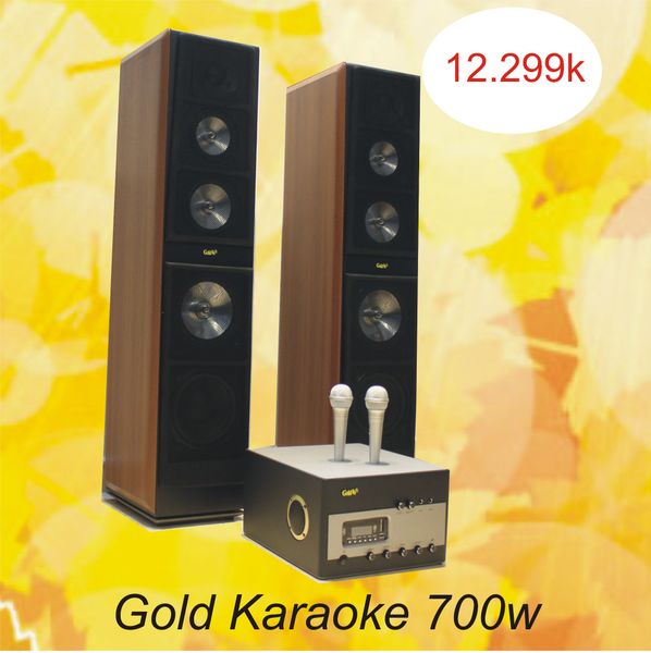Dàn karaoke gia đình: Gold Karaoke A700 (Bluetooth) + 2 Loa Cây V500