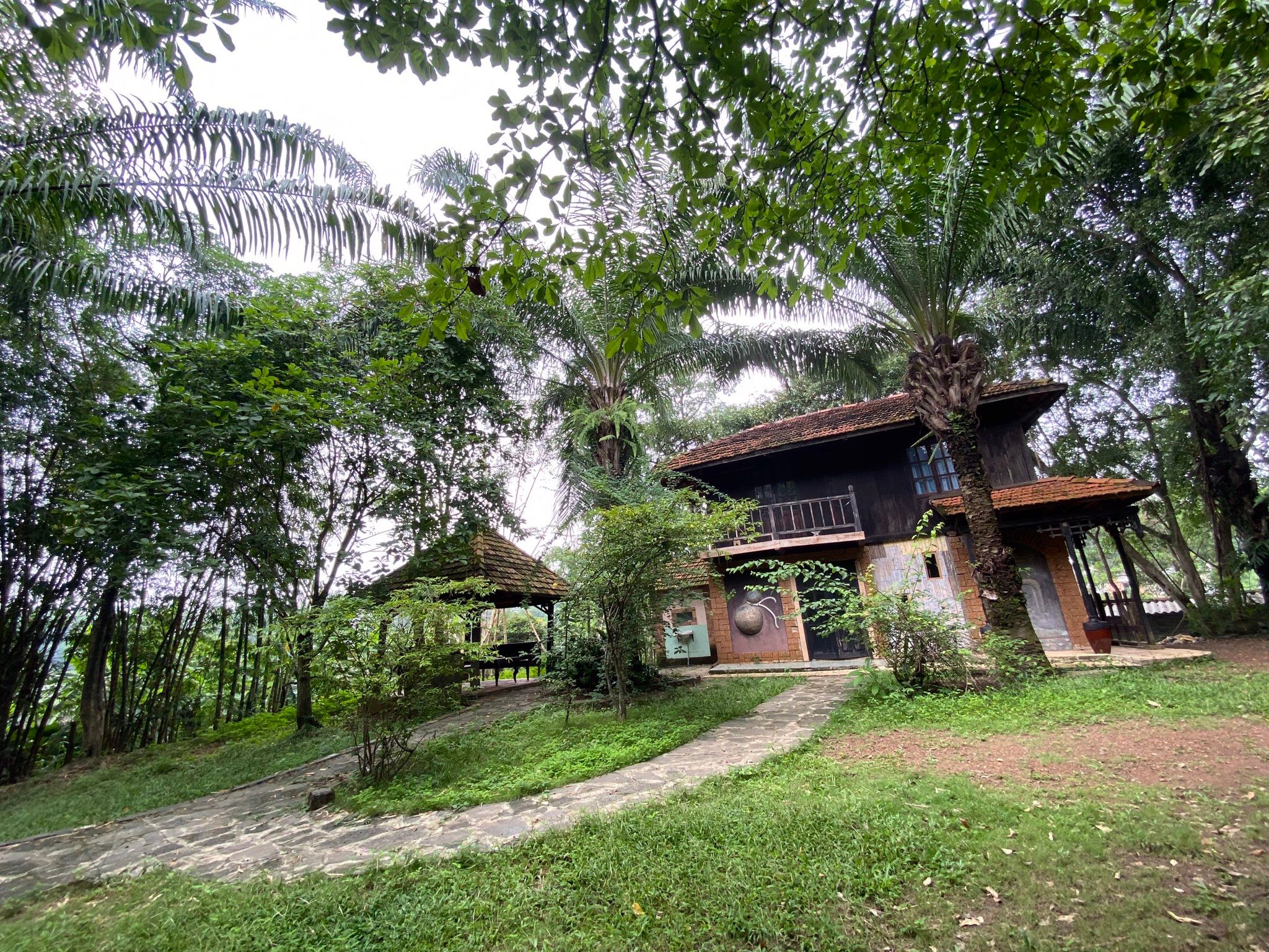 Villa gia đình 8 người dưới tán cây