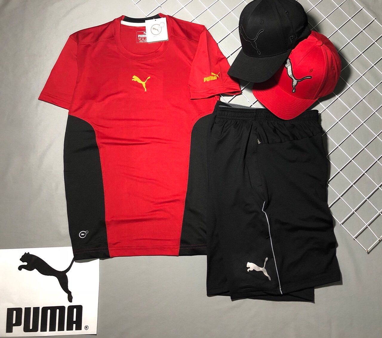 SHORTpuma - QUẦN THỂ THAO PUMA