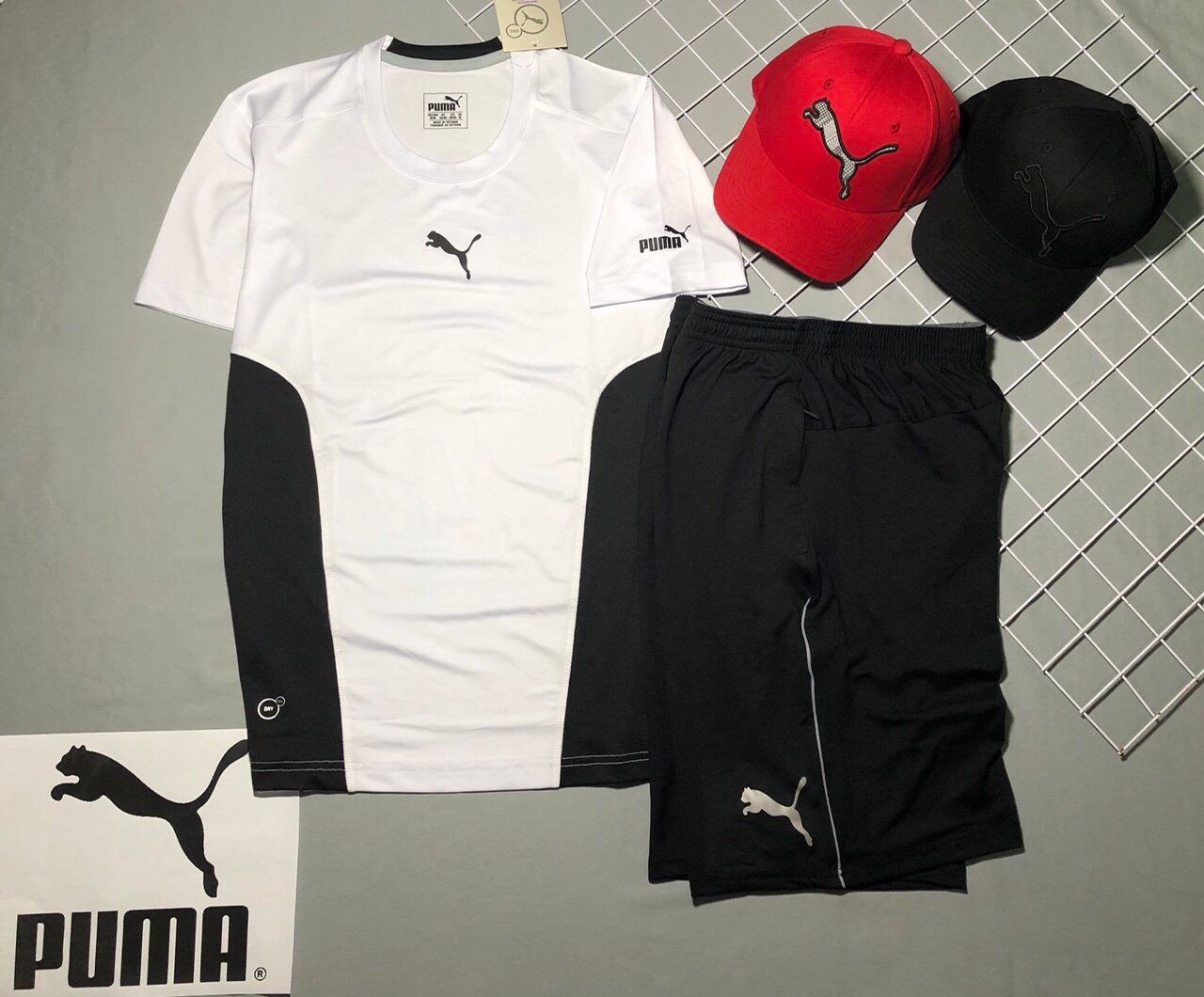ATTN0019trang - Áo thun THỂ THAO PUMA phối màu