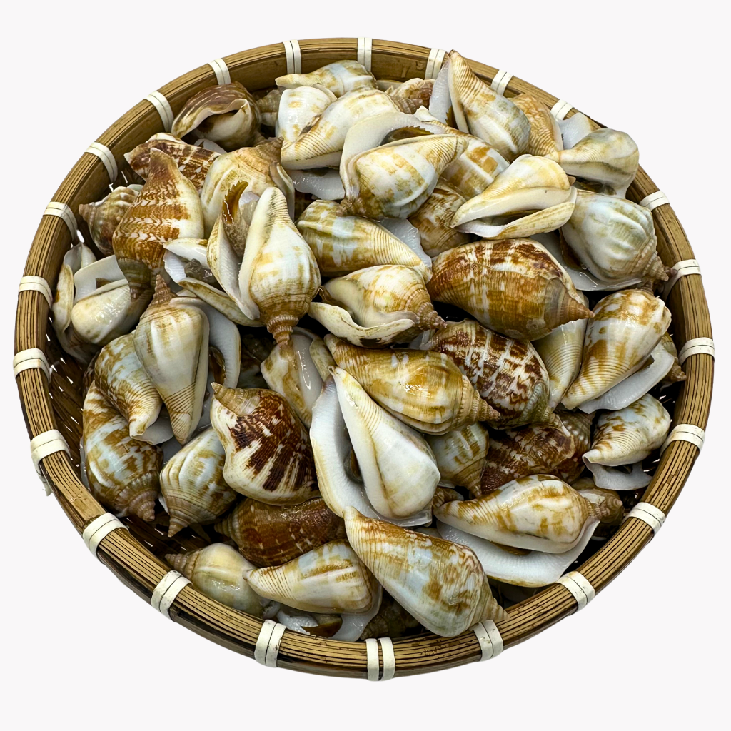 Ốc Nhảy Cái Sống 70-90