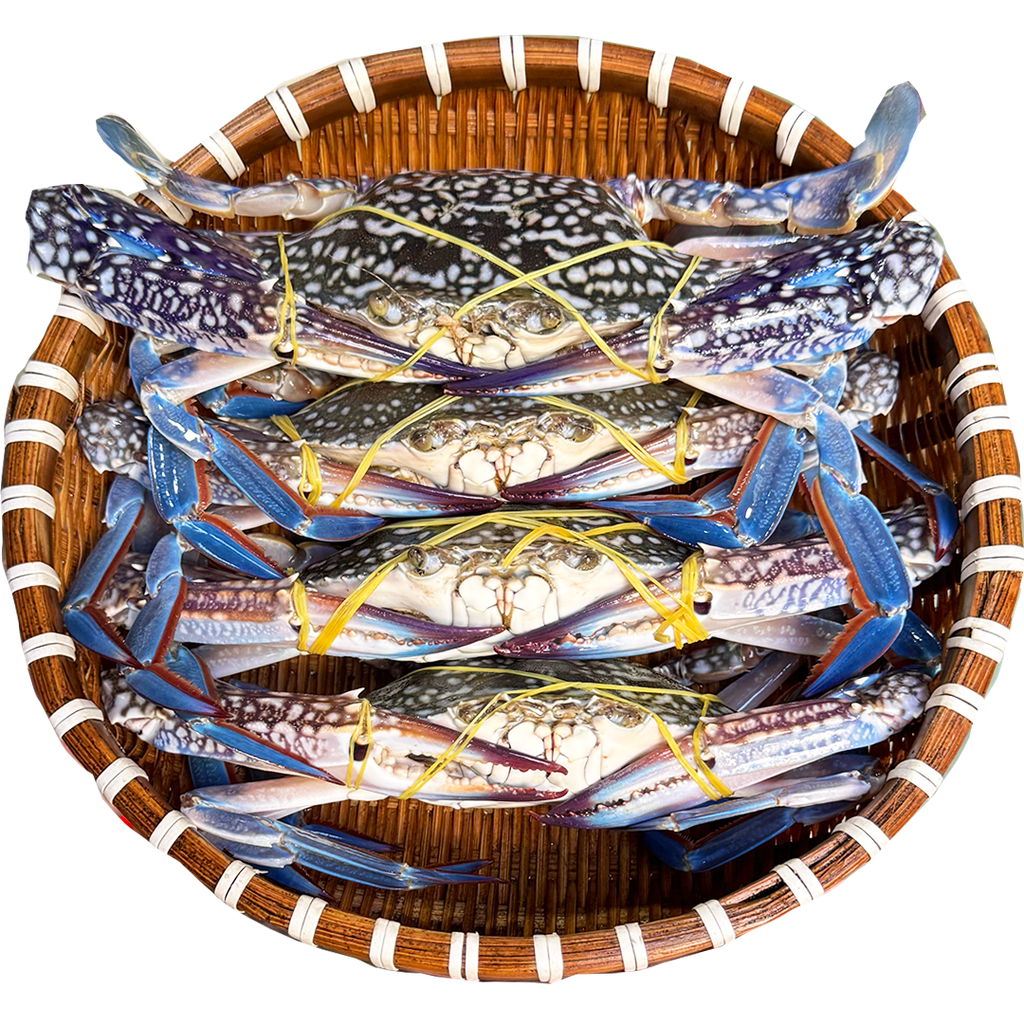 Ghẹ Xanh Sống Size 4-5 Con/kg
