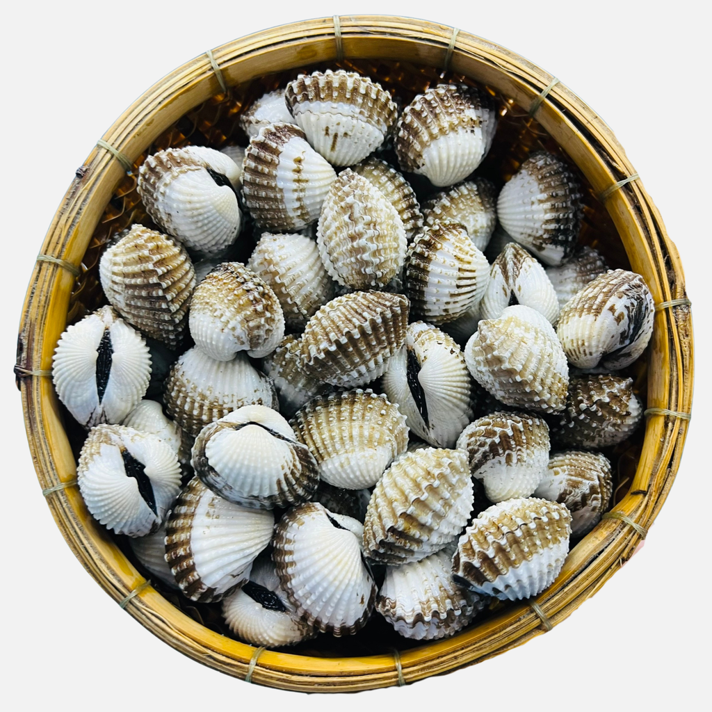 Sò Huyết VN Sống 70-80