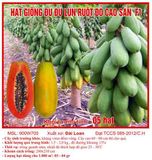 Hạt giống đu đủ Đài Loan cao sản F1 - 20 hạt ( ruột đỏ, ruột vàng)