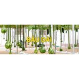 Hạt Giống Bầu Cổ Dài 2m Mỹ (3 hạt)