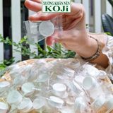 500 viên khăn nén cao cấp Koji cho nhà hàng, khách sạn, du lịch (sỉ)