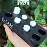 500 viên khăn nén cao cấp Koji cho nhà hàng, khách sạn, du lịch