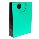 Túi Đựng Quà Cao 2 Màu Cỡ Lớn SC0413