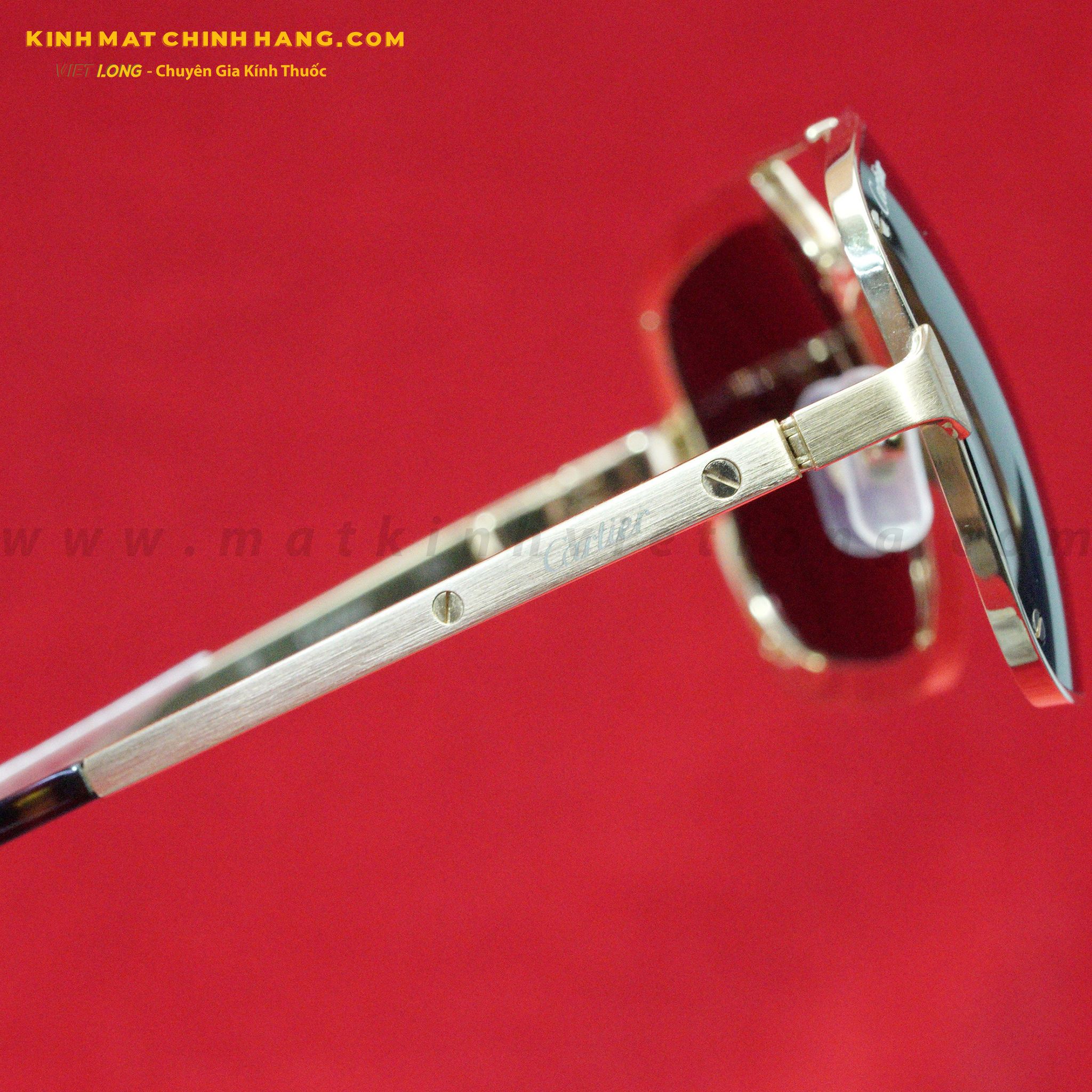 KÍNH MÁT CARTIER CT0194S-002 58-17