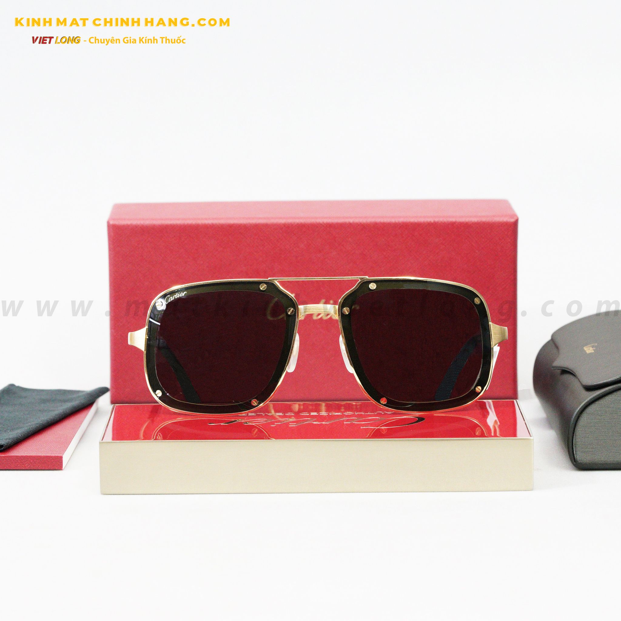 KÍNH MÁT CARTIER CT0194S-002 58-17
