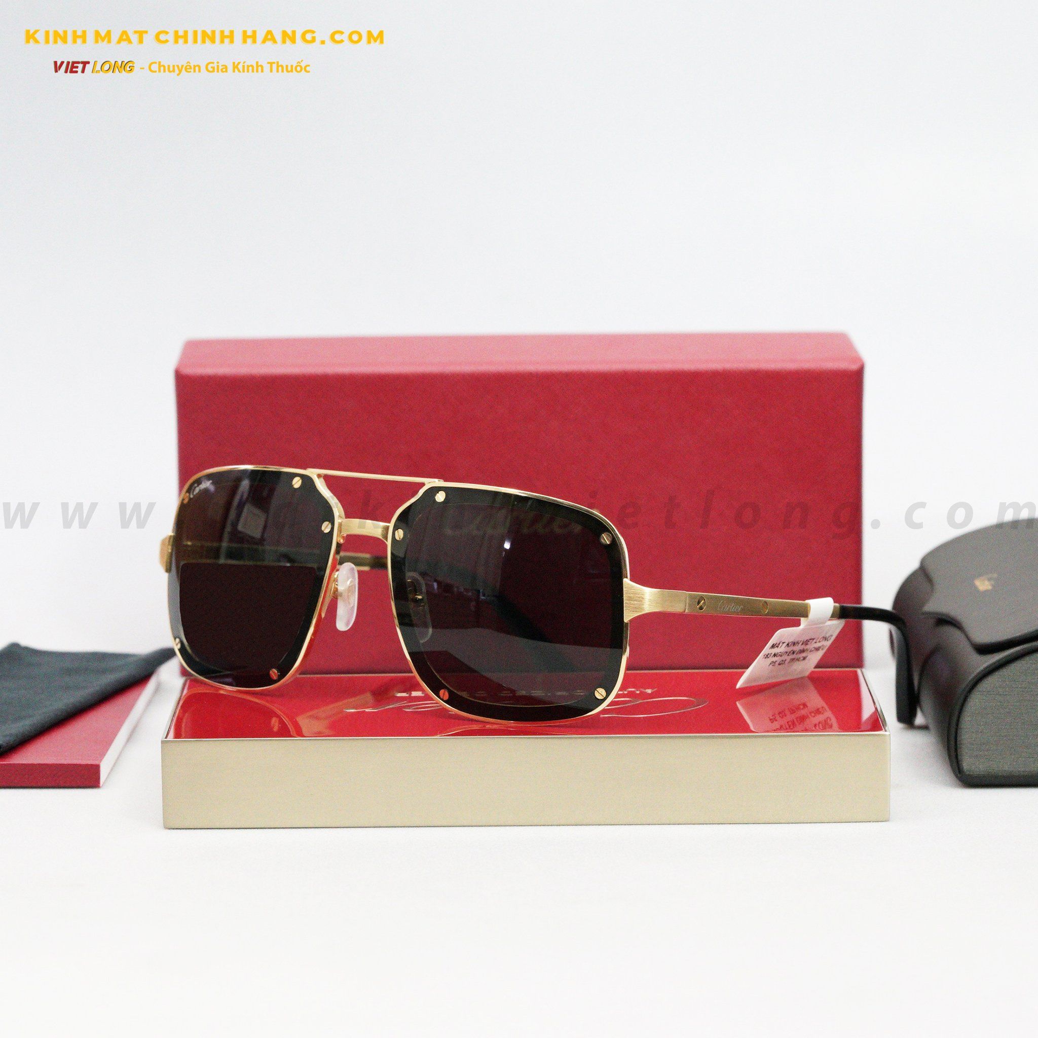 KÍNH MÁT CARTIER CT0194S-002 58-17