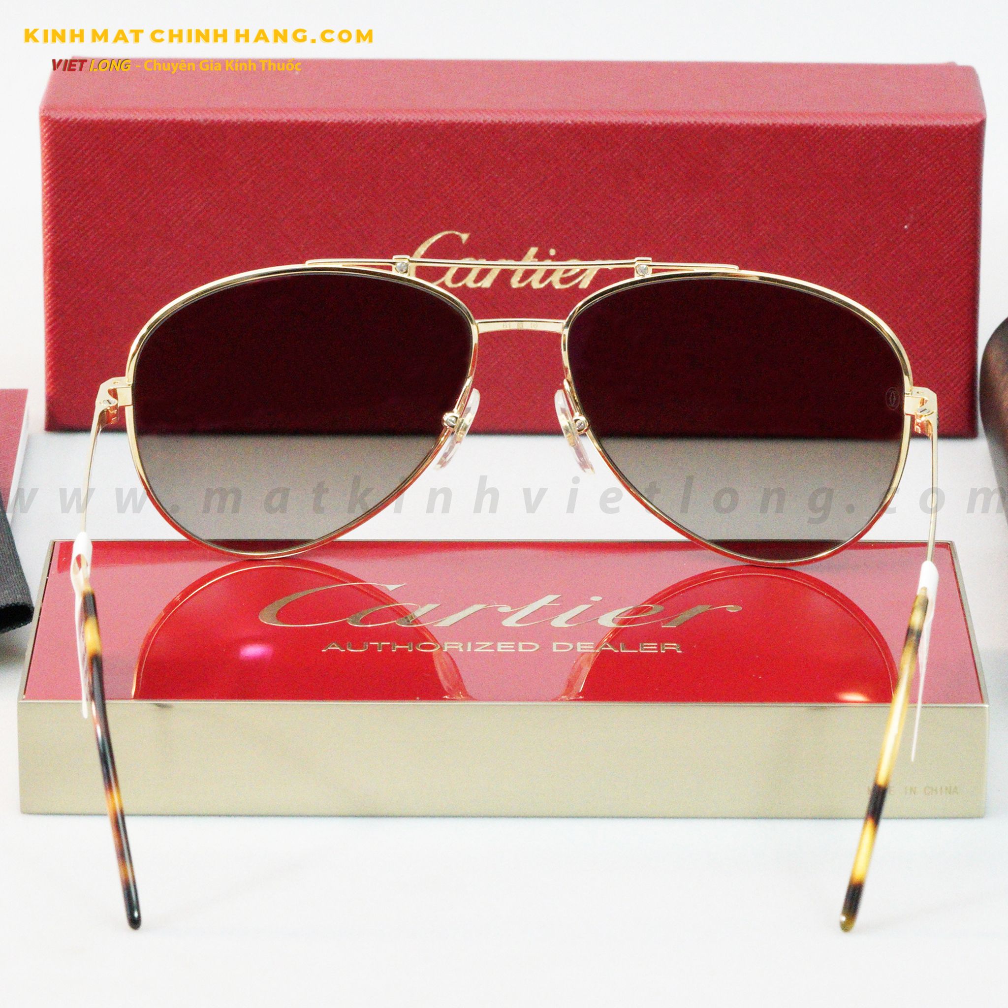 KÍNH MÁT CARTIER CT0083S-003 61-16