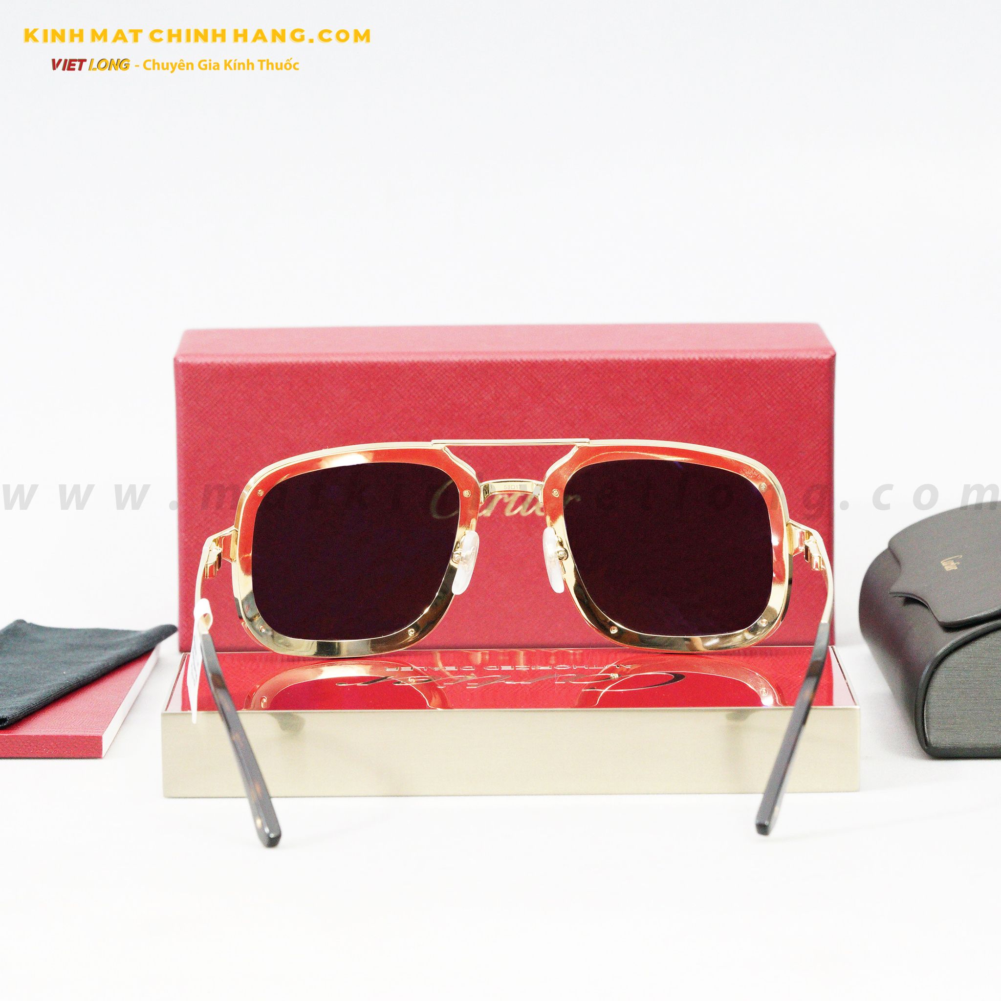KÍNH MÁT CARTIER CT0194S-002 58-17