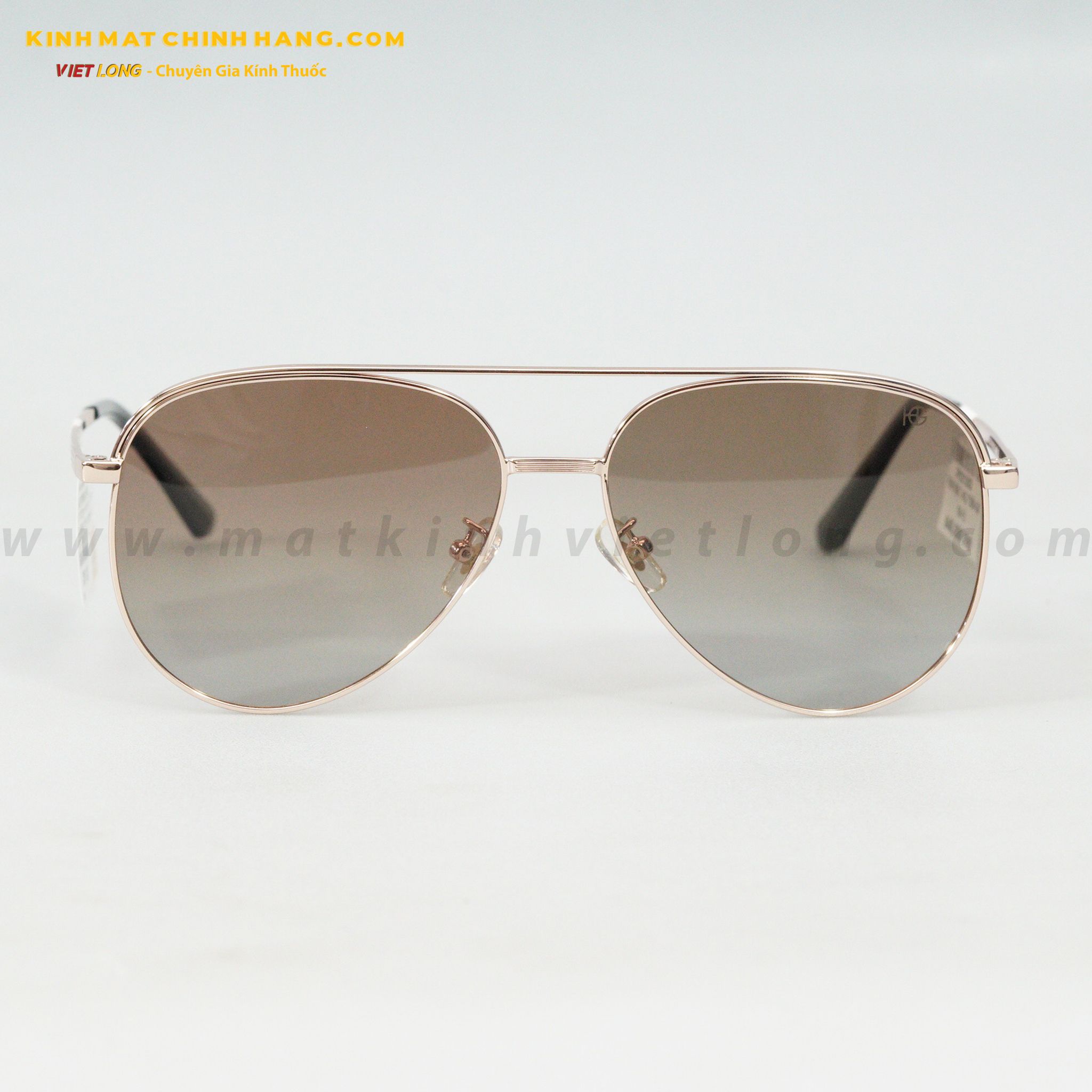 KÍNH MÁT HG 7309-G0 60-15