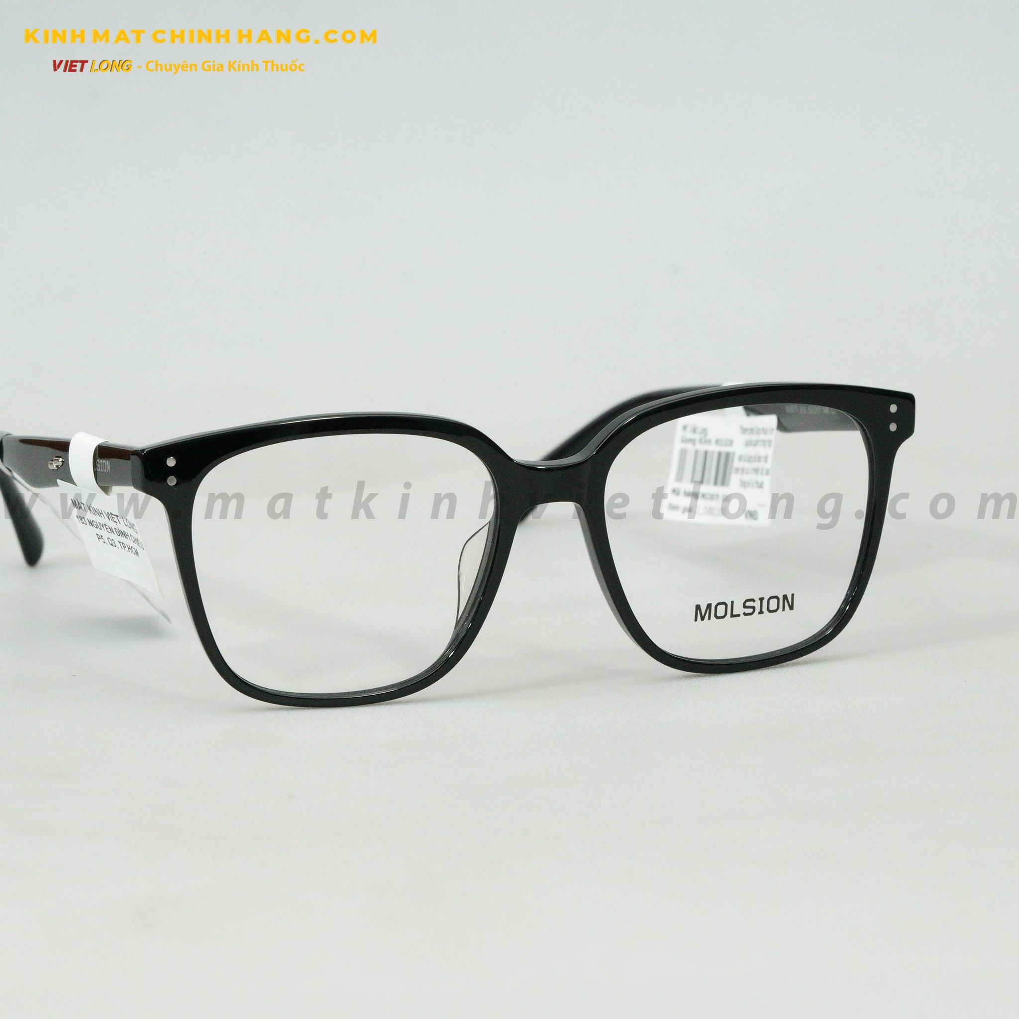 GỌNG KÍNH MOLSION MJ3079-B10 53-17