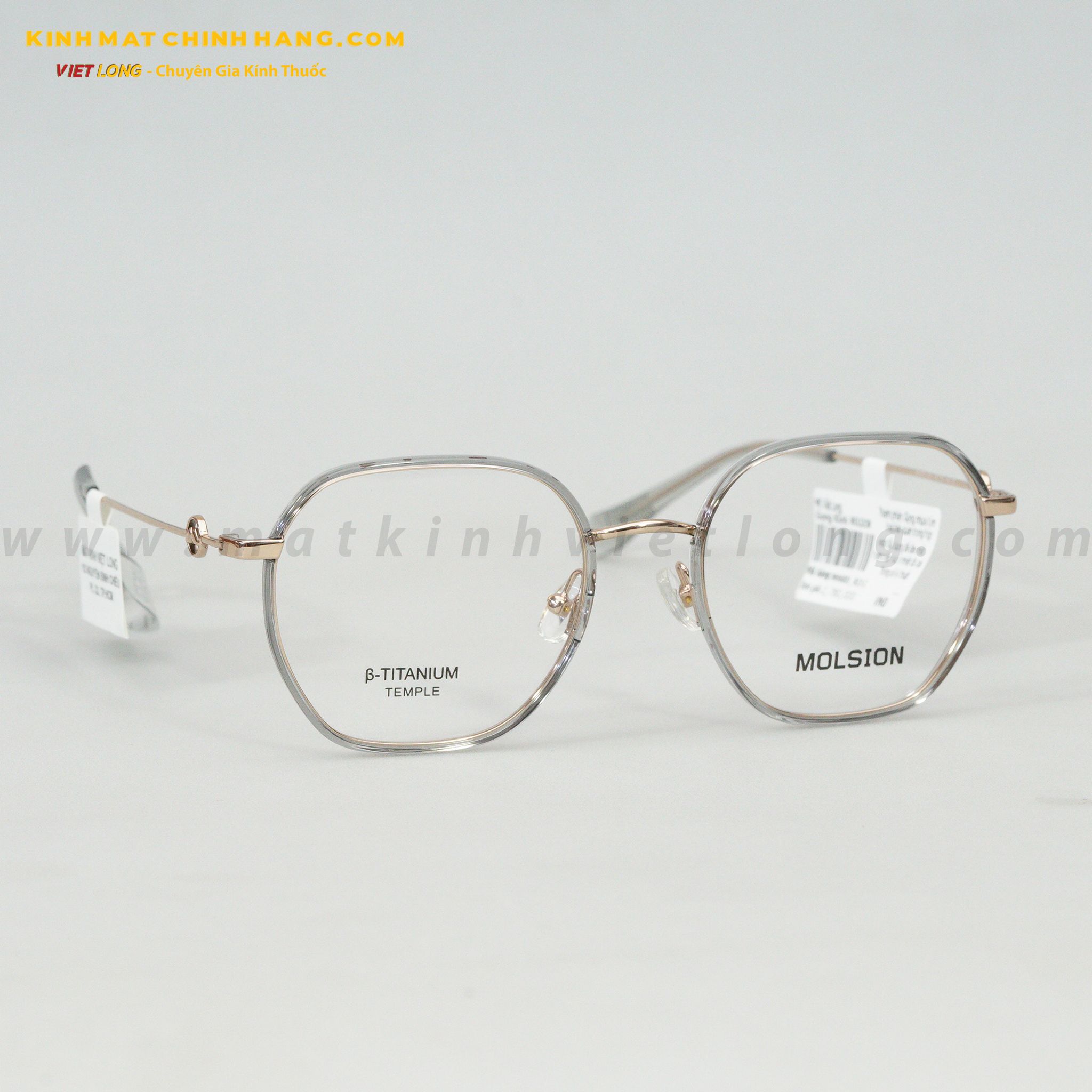 GỌNG KÍNH MOLSION MH6001-B13 50-19
