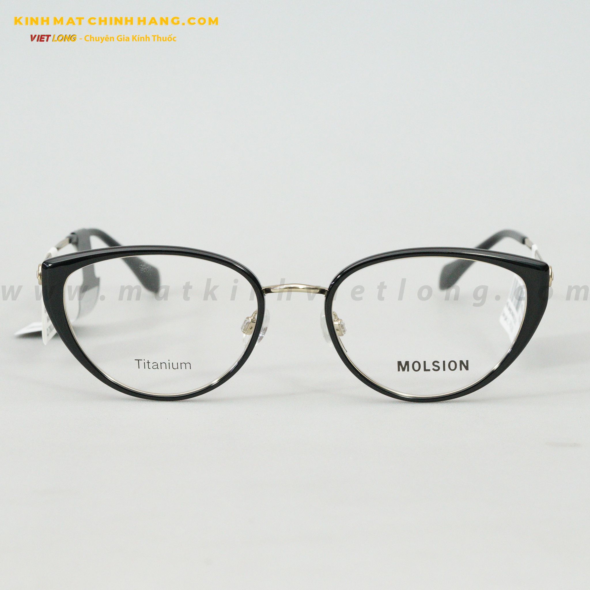 GỌNG KÍNH MOLSION MA6029-B12 52-19