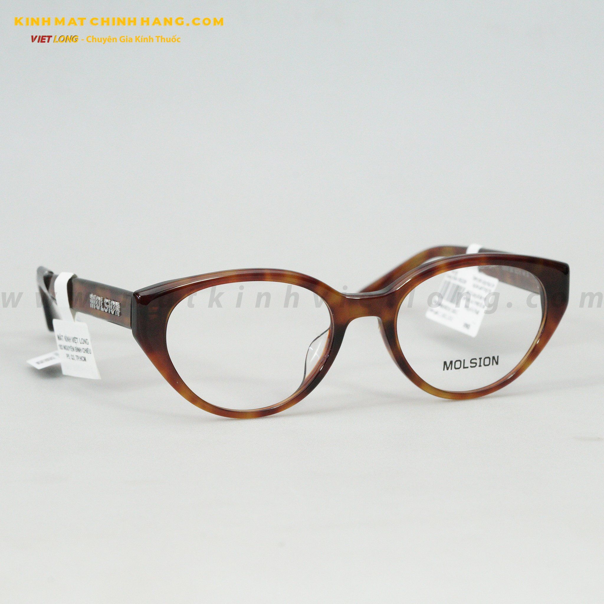 GỌNG KÍNH MOLSION MJ3110-B20 53-19