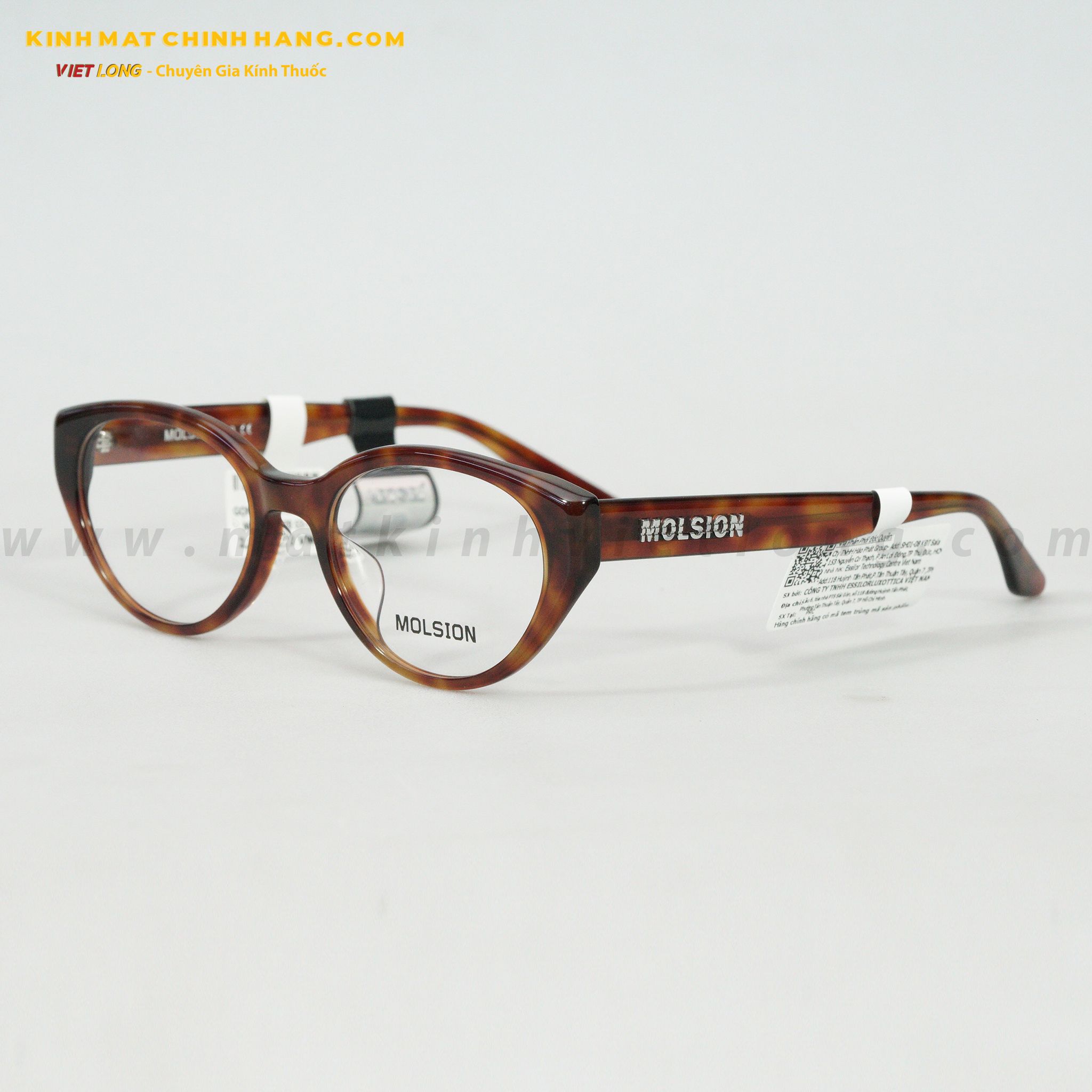 GỌNG KÍNH MOLSION MJ3110-B20 53-19