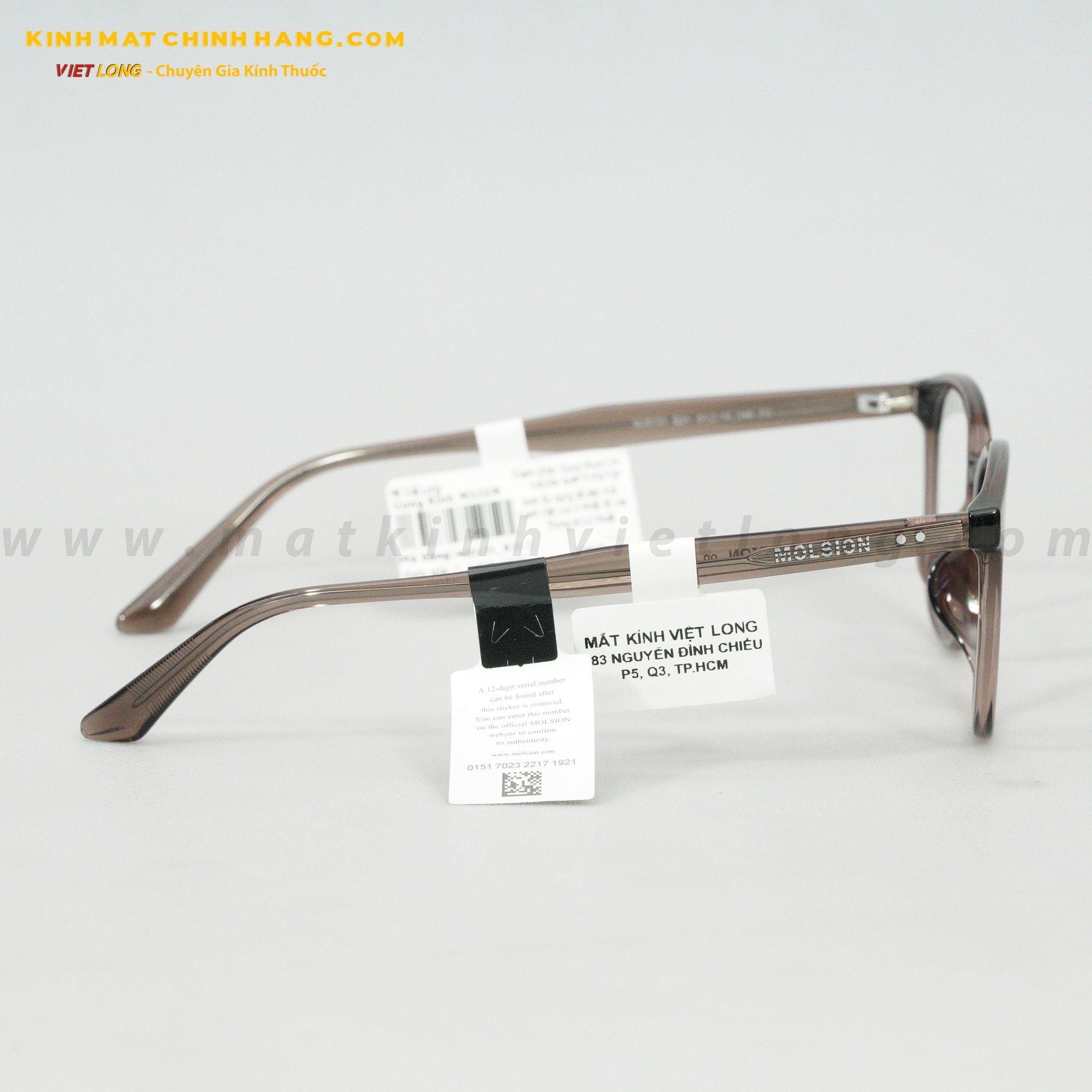 GỌNG KÍNH MOLSION MJ5131-B21 51-19