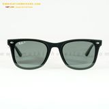  KÍNH MÁT RAYBAN 0RB4391D-601/81 65-18 