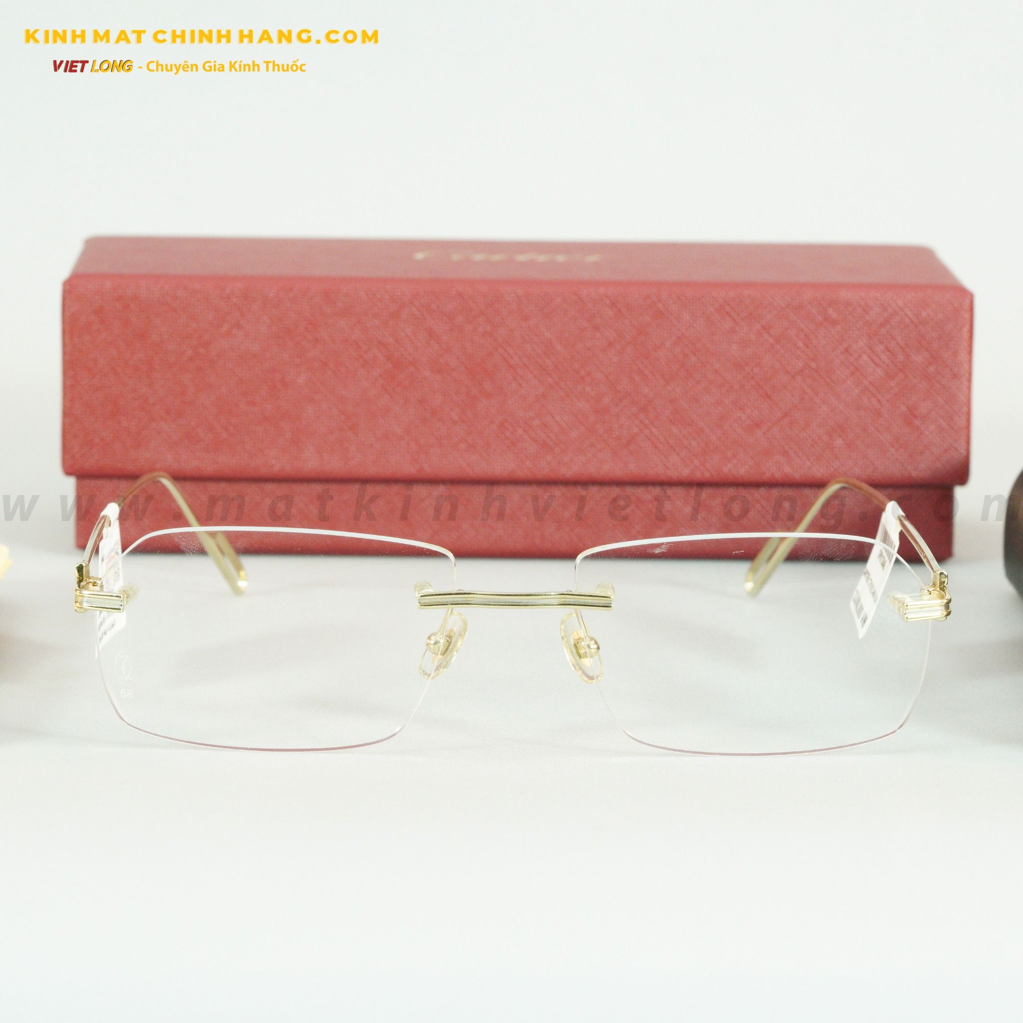 GỌNG KÍNH CARTIER CT0162O-006 58-19