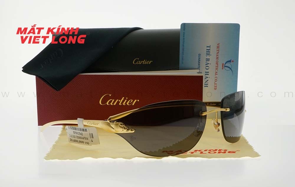  KÍNH MÁT CARTIER T8200696-6476914 