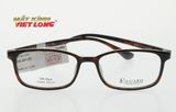  GỌNG KÍNH REGARD RG840-DBR 54-17 