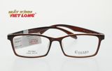  GỌNG KÍNH REGARD RG843-BR 54-16 