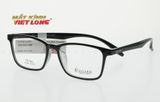  GỌNG KÍNH REGARD RG844-BK 53-16 