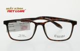  GỌNG KÍNH REGARD RG844-DBR 53-16 