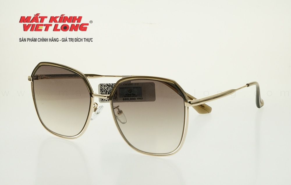 KÍNH MÁT WELL VISION 5550-C2 57-16