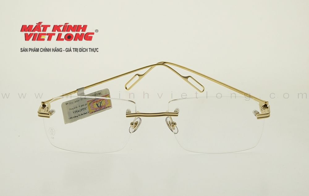  GỌNG KÍNH CARTIER CT0162O-004 58-19 