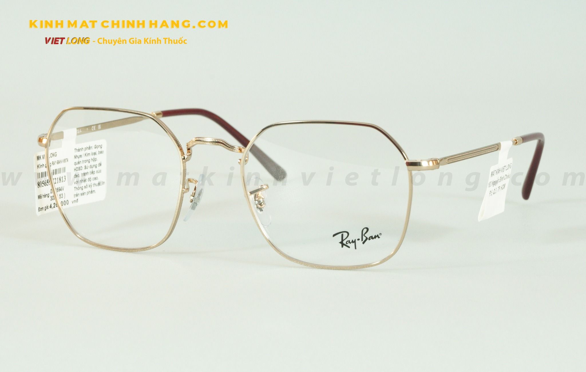  GỌNG KÍNH RAYBAN RB3694V-3094 53-20 