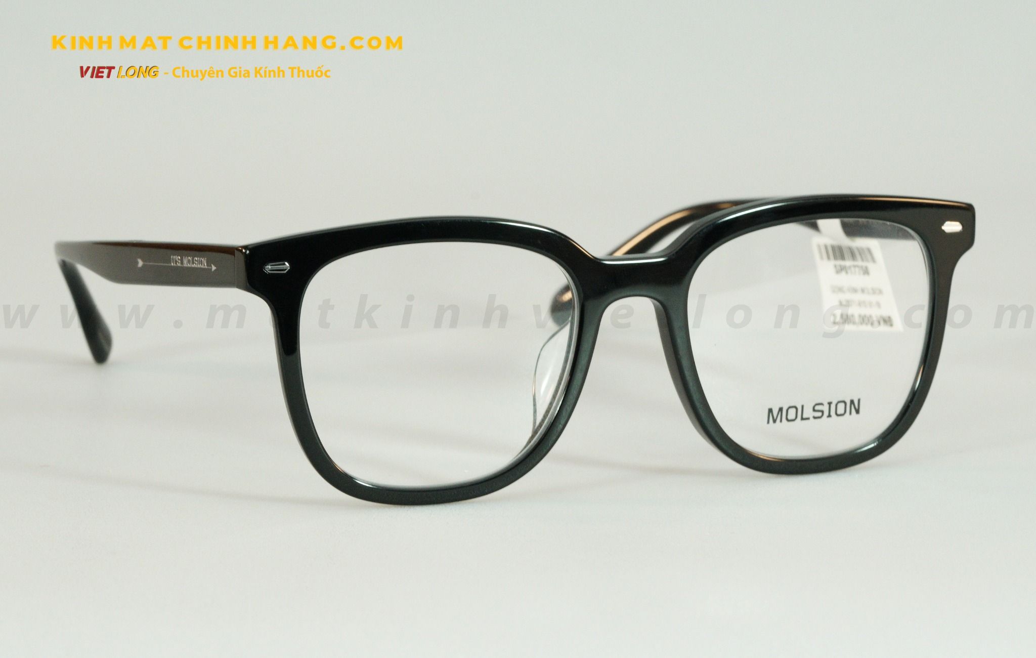 GỌNG KÍNH MOLSION MJ3071-B10 51-19