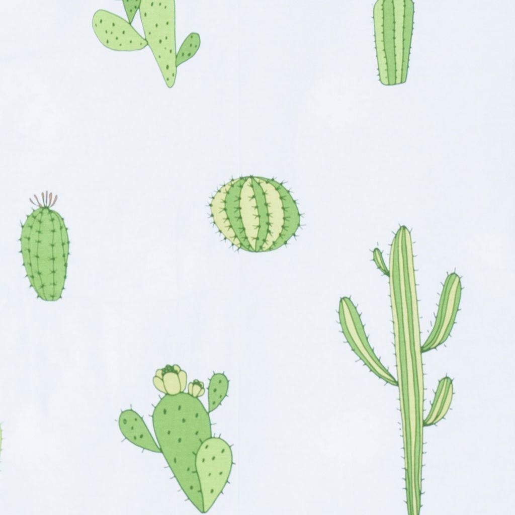Best price 070 The cactus