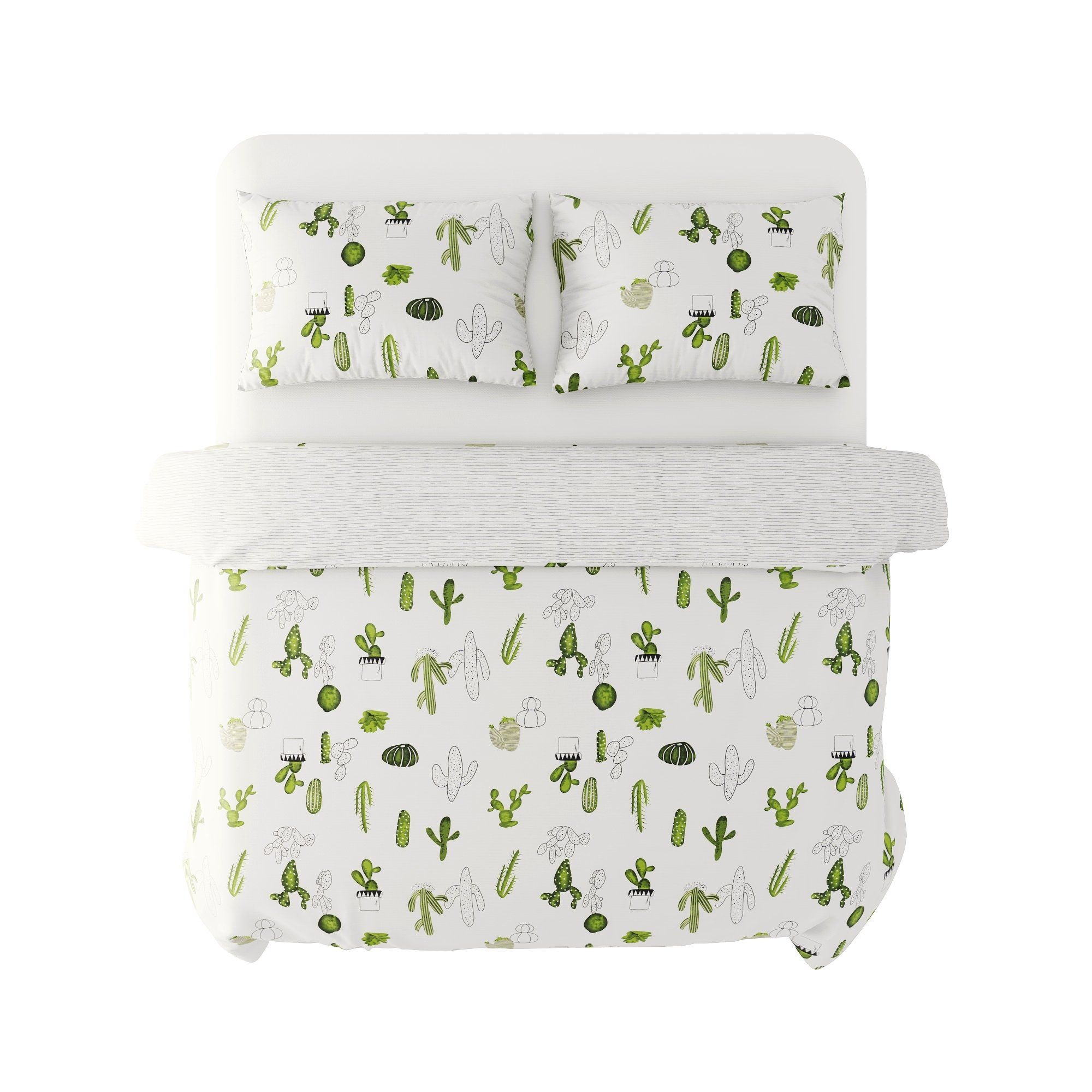 Best price 153 Cactus