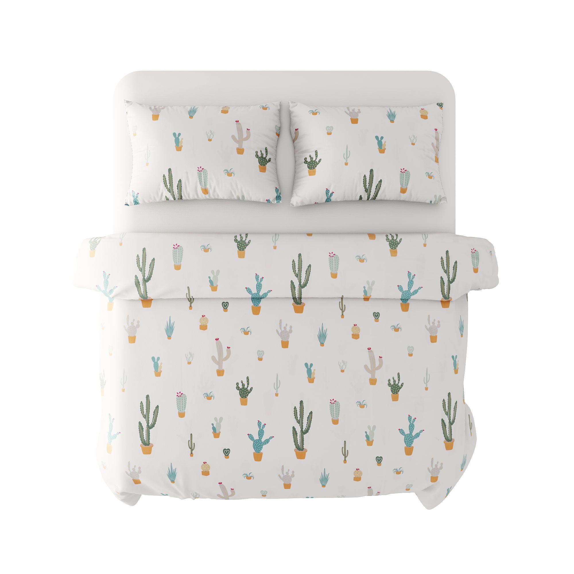 Best price 156 The Cactus on cream