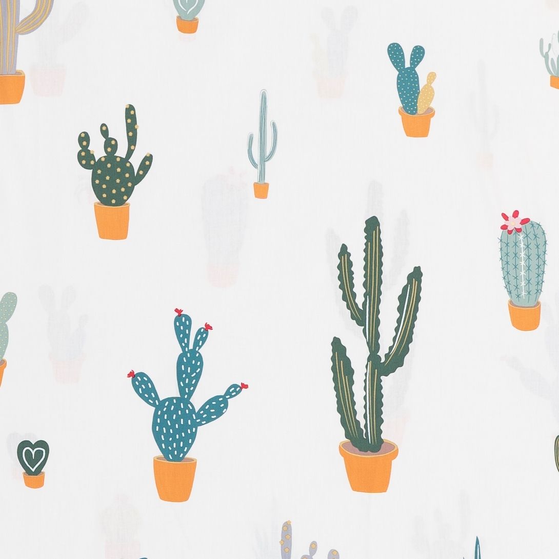 Best price 156 The Cactus on cream