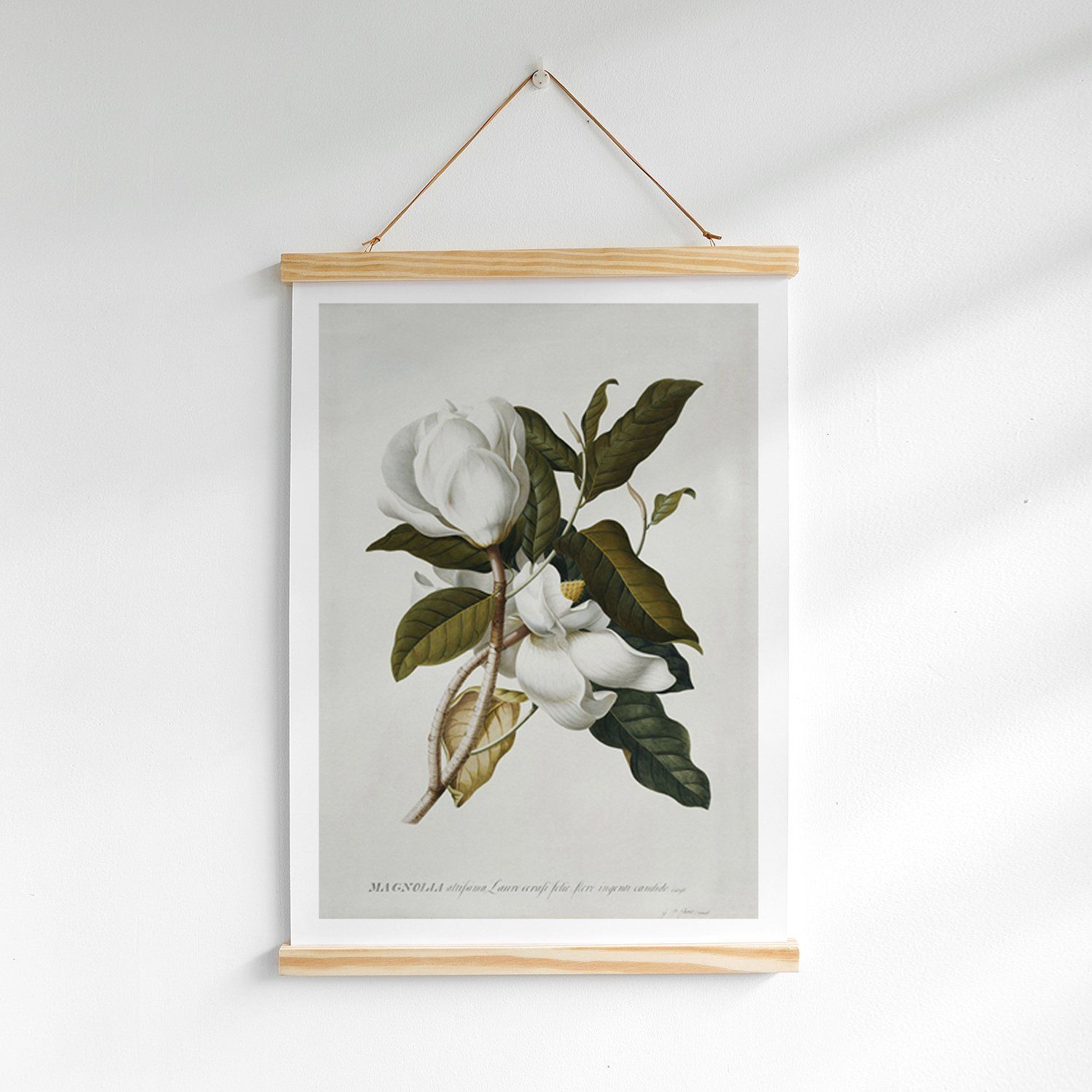 Poster nẹp gỗ Magolina